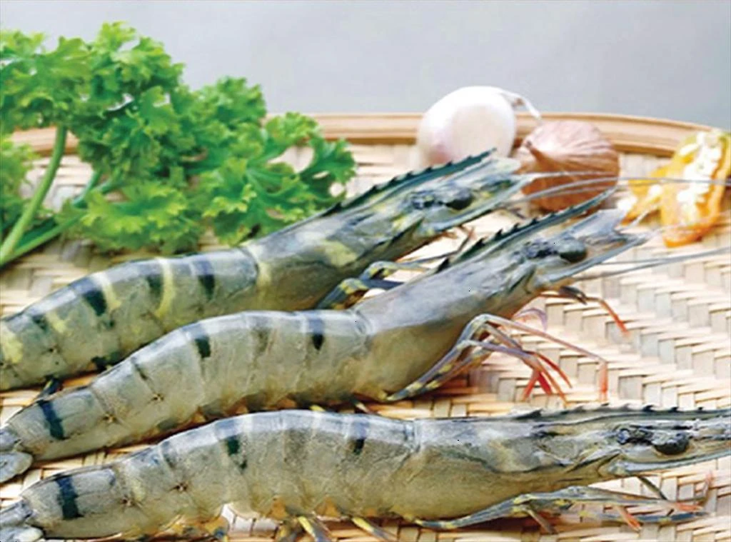 A Systematic Market Access Strategy Needed To Promote Vietnam Shrimp Exports To The EU