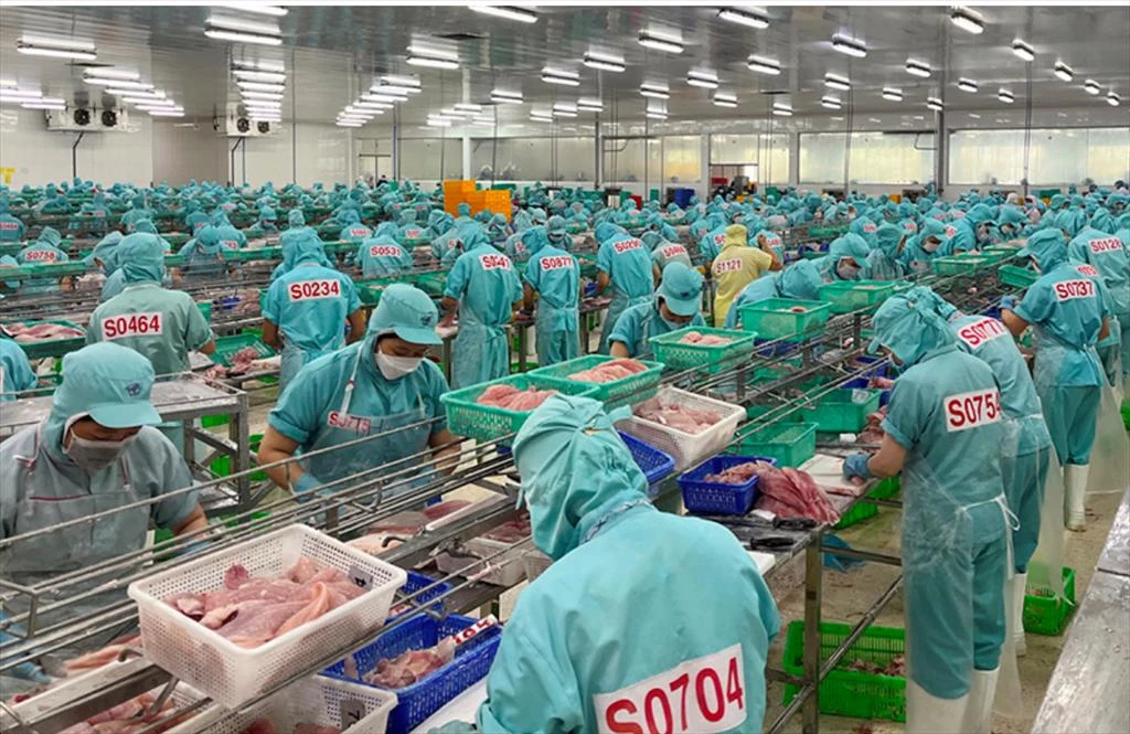 Dong Thap: Fishery Production To Reach 5,554 Billion Vnd In H1.2024