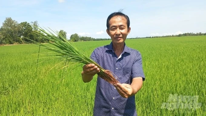 Organic rice production management by satellite