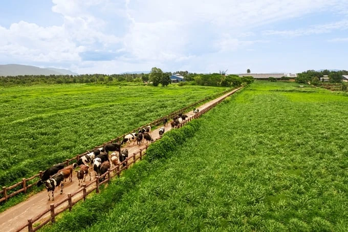 How do farmers benefit from the way enterprises implement ‘Net Zero’?