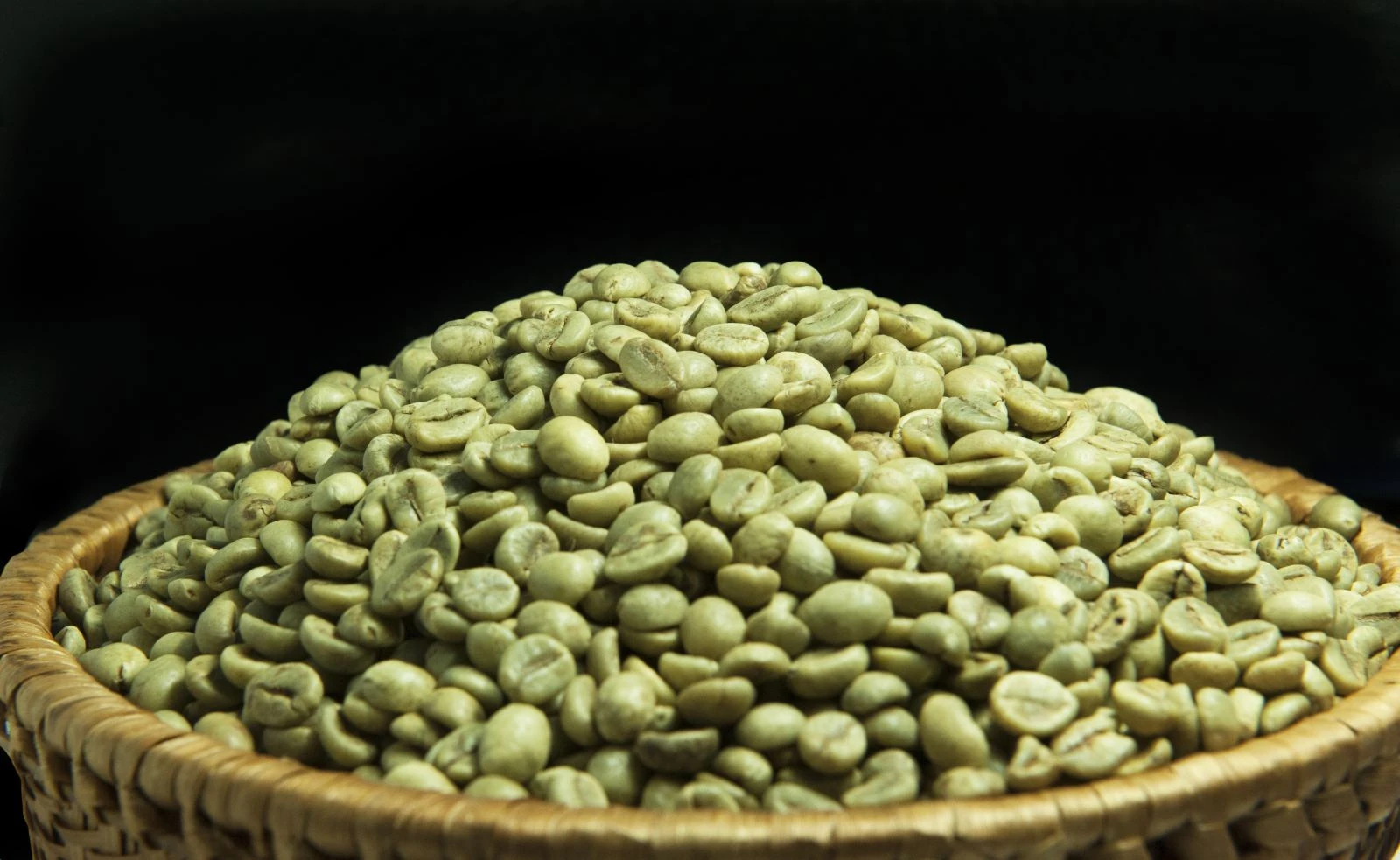 Robusta Coffee Product Wet Processed R1, Sieve 16