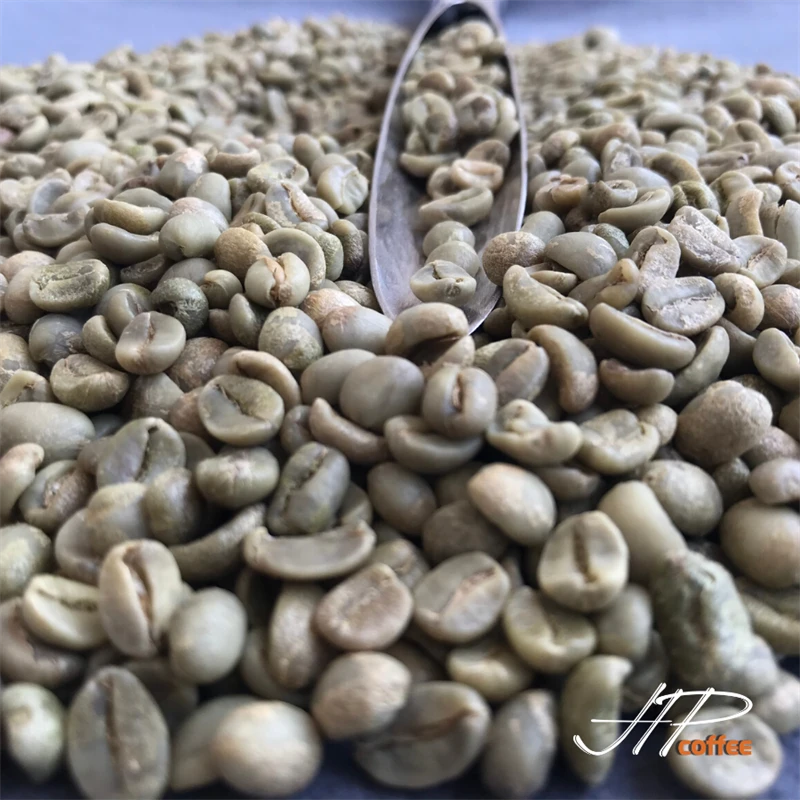 Arabica Washed S16 Coffee