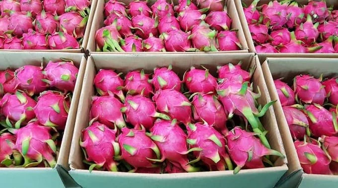 Vietnamese dragon fruit makes a splash at Spinneys debut in Saudi Arabia