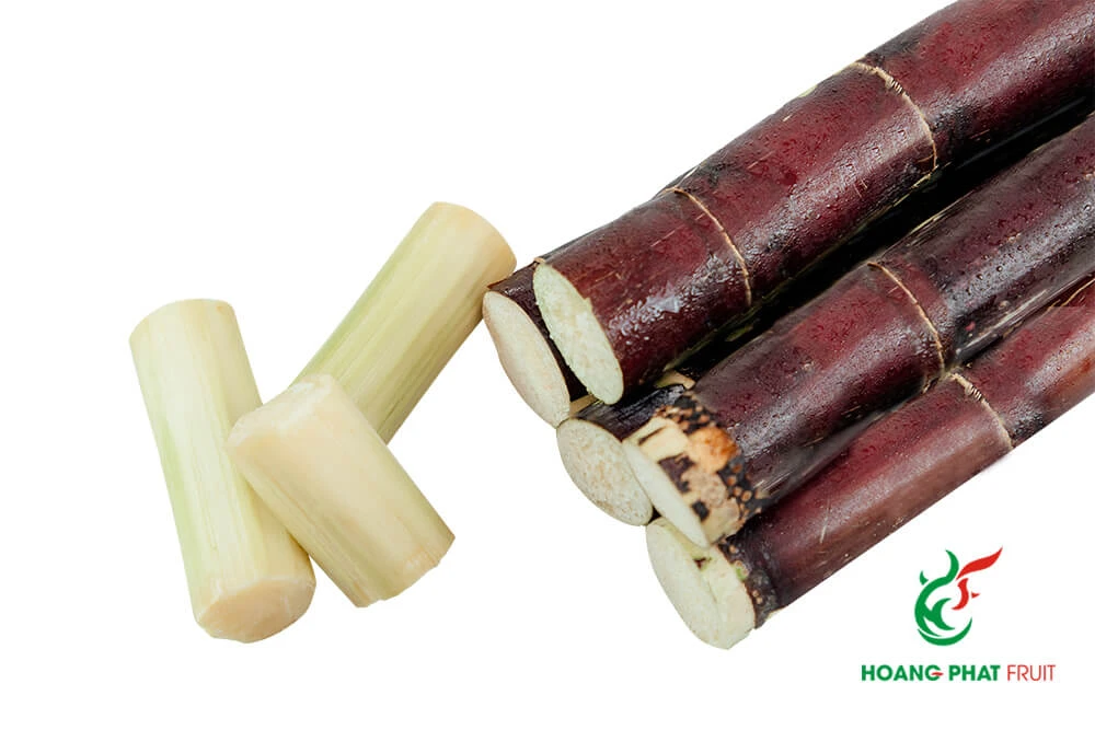 HP Sugarcane