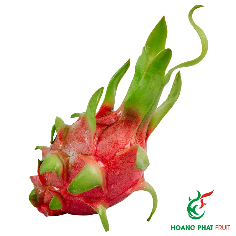 White Dragon Fruit