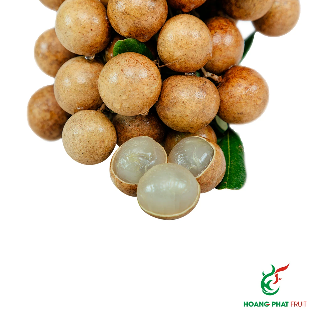 HP Longan