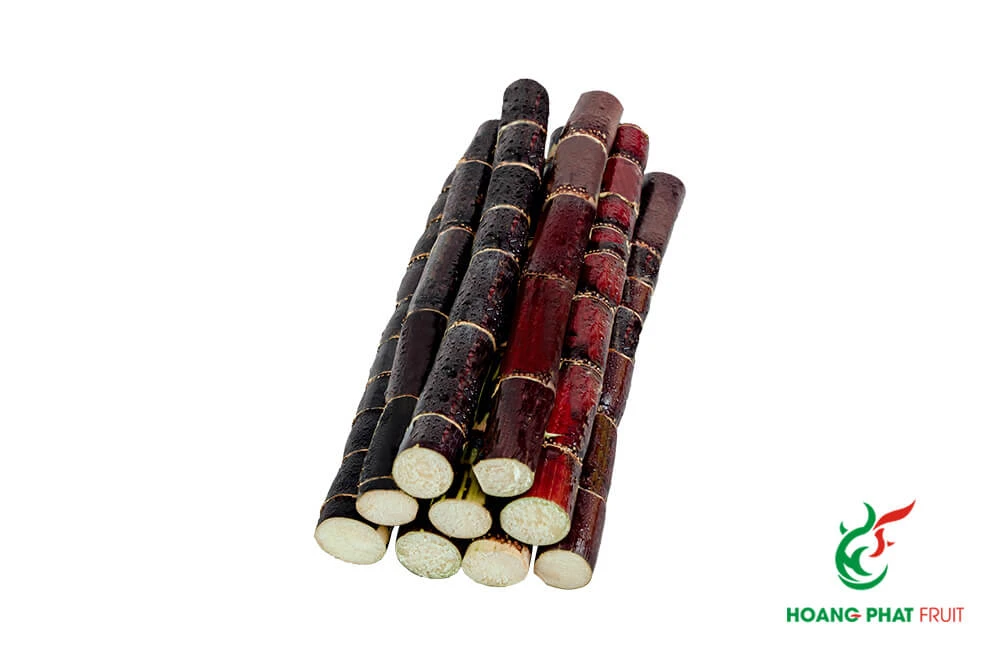 HP Sugarcane