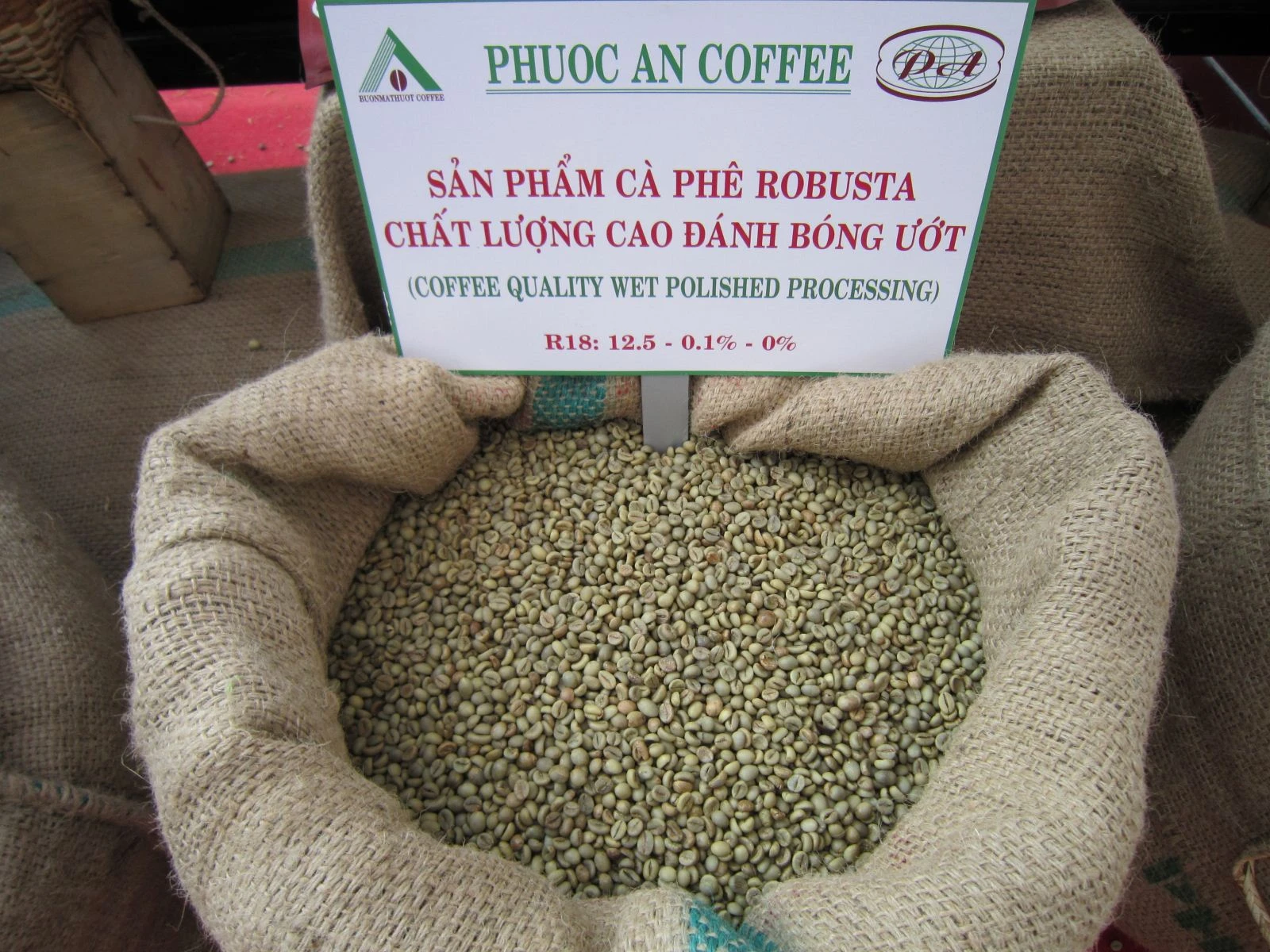 Unwashed Robusta Coffee Grade 1 Screen 16