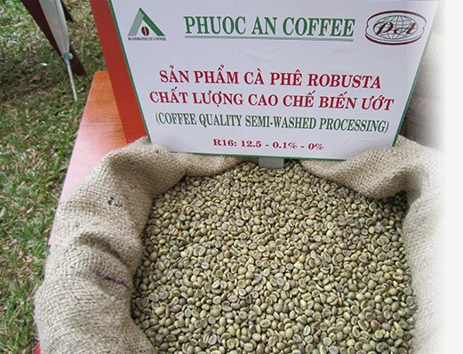 Vietnam Semi-washed Robusta Coffee Grade 2 Screen 13