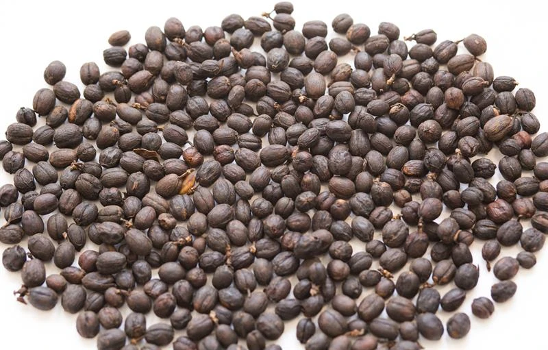 Anaerobic Fermented Arabica Coffee