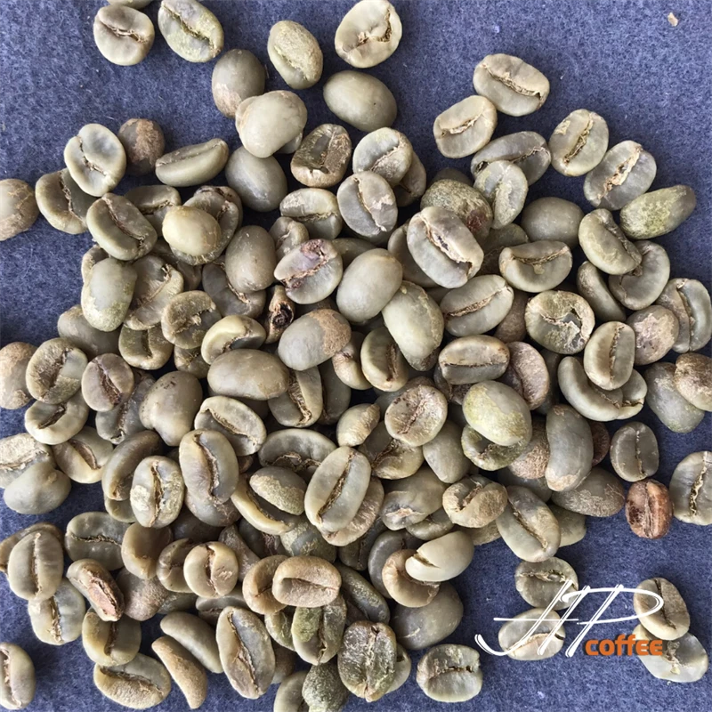 Washed Arabica S18 Coffee