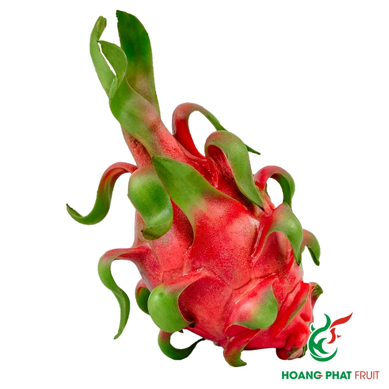 Red Dragon Fruit