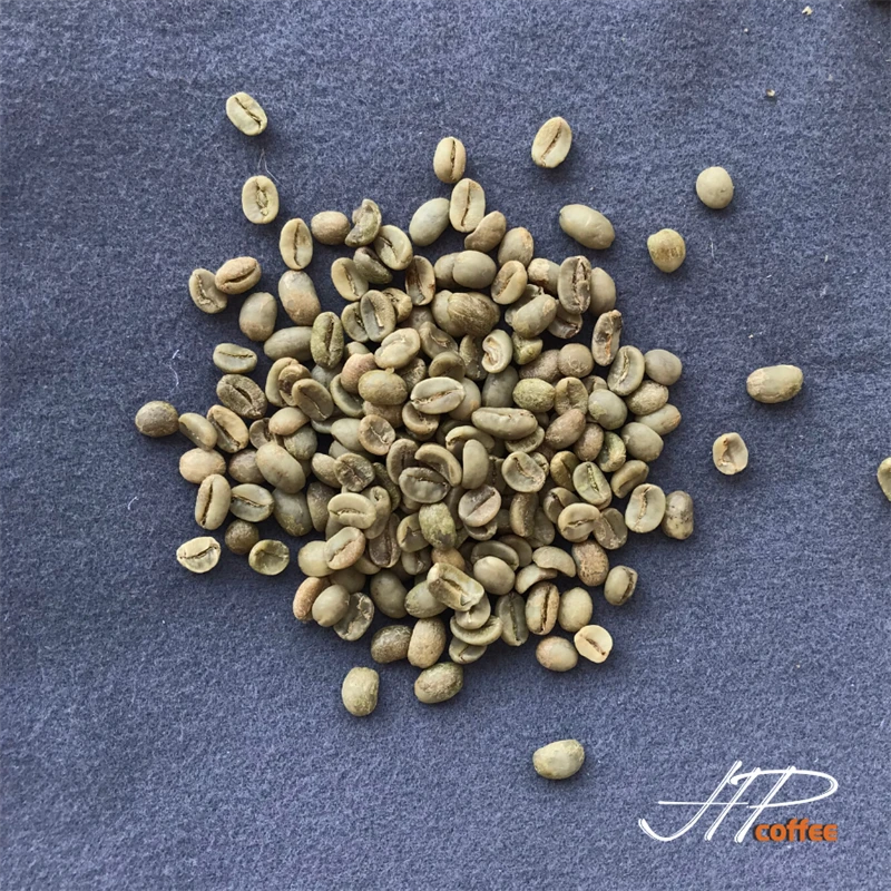 Arabica Washed S16 Coffee