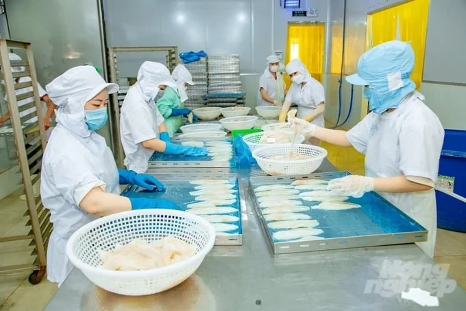 Considerations for businesses exporting seafood to Singapore