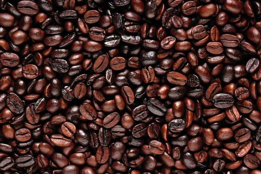 Coffee Beans Agrimexco