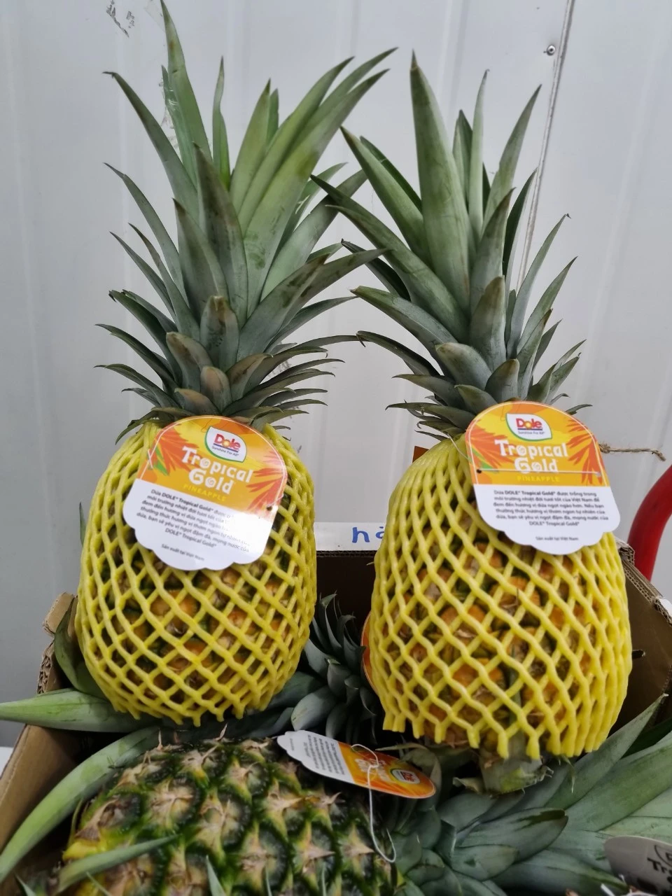 Pineapple MD2 Dole