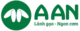 AAN Logo