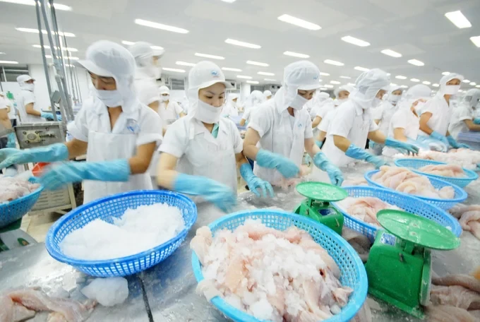 Seafood exports under pressure, VASEP expects open-door policy for enterprises