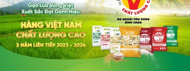 Lua Vang Viet