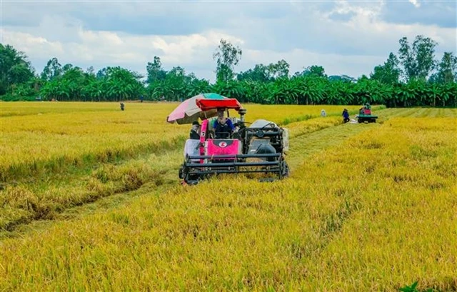 Việt Nam requires $2.7 billion for one million hectares of high-quality rice