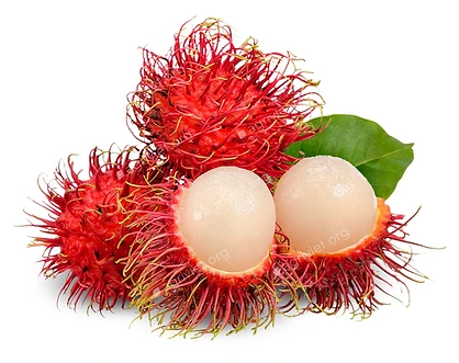 Rambutan V-Argo