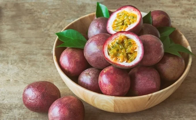 High-quality passion fruit can be cultivated year-round in Vietnam