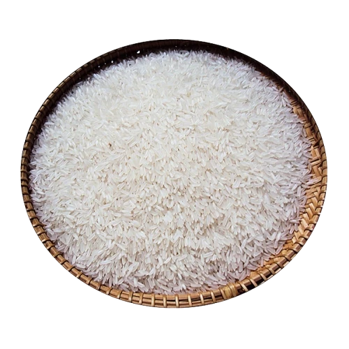 IR50404 Rice