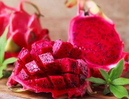 Dragon Fruit V-Argo