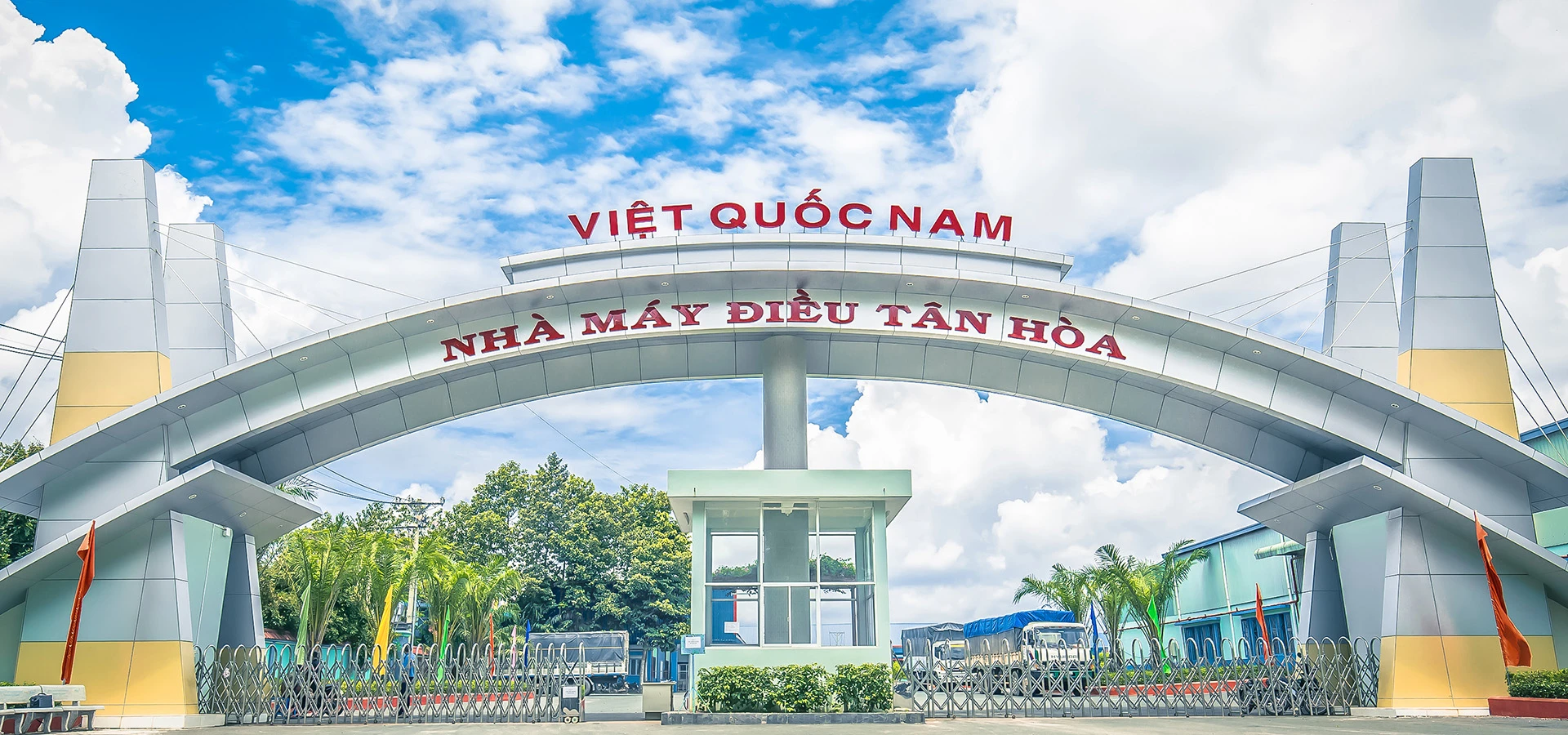 Tan Hoa