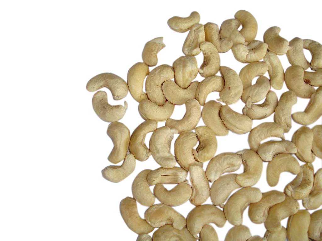 Cashew Nuts TH