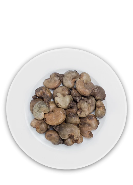 Raw Cashew Nuts TH