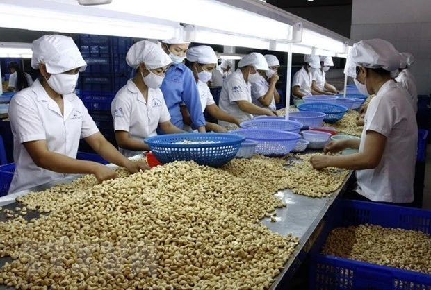 Vietnamese agricultural products, food expected for deeper engagement in global supply chain