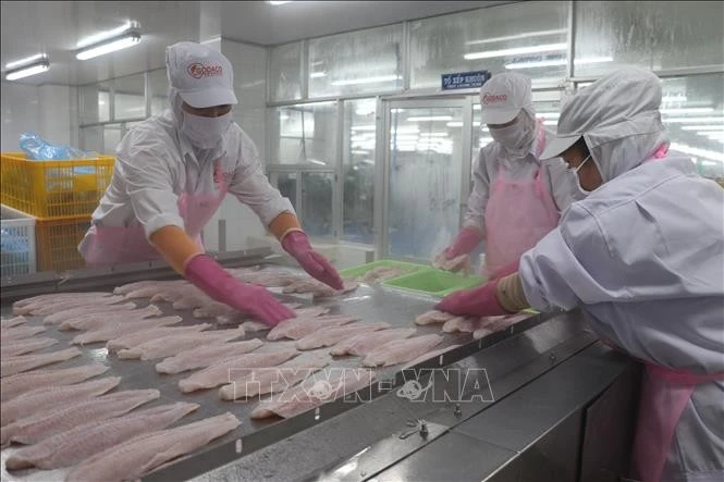 Vietnam's H1 seafood exports hit 4.4 billion USD