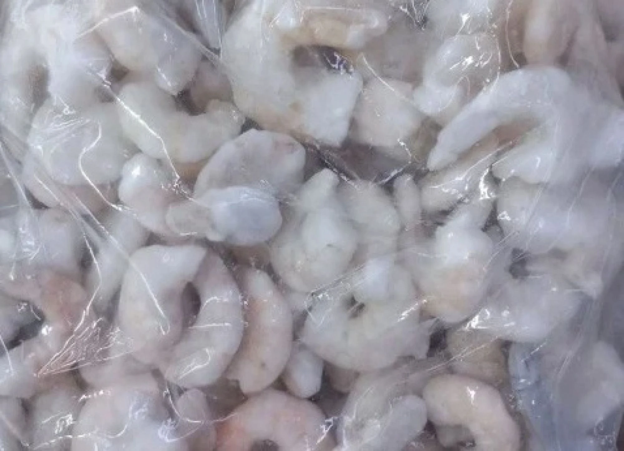 Steamed Shrimp - ABSEACO