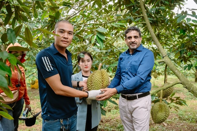 Đắk Nông durian farmers reap bountiful harvests thanks to sustainable practices