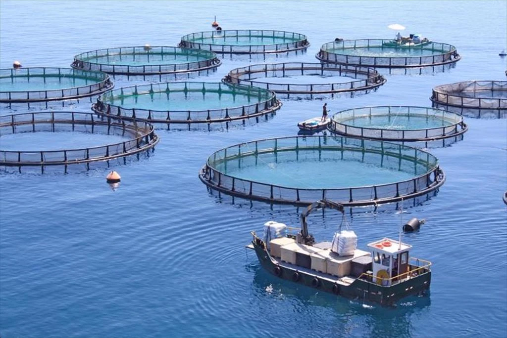 An Giang province expands aquaculture area