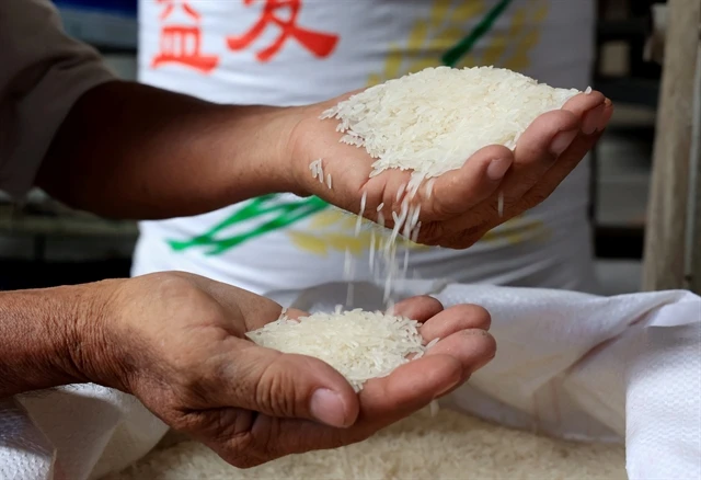 Việt Nam's rice exports expected to have positive result in H2