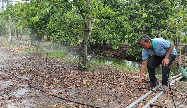 Hậu Giang Province develops nature-based agriculture