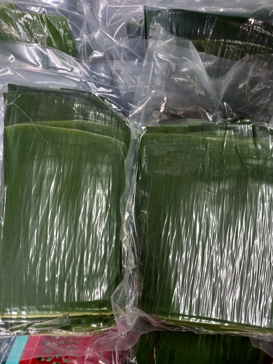 Frozen Banana Leaves - TLP