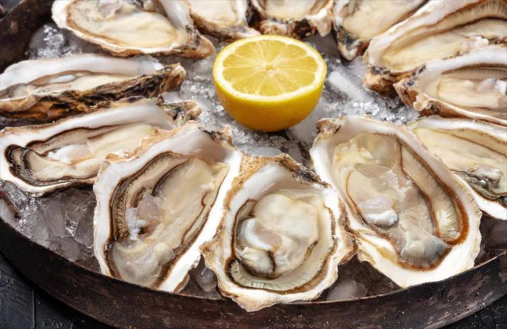 Oyster exports continue to grow