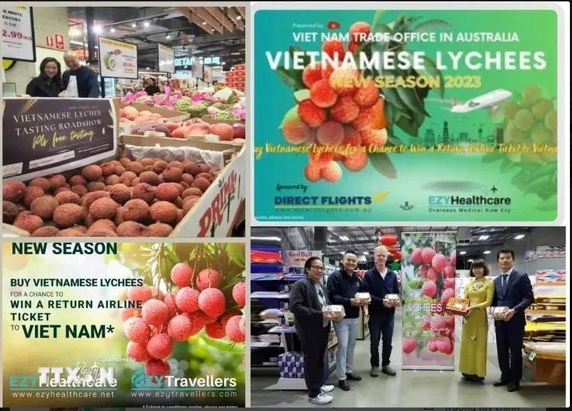 Vietnamese lychee sold well at Costco stores in Australia