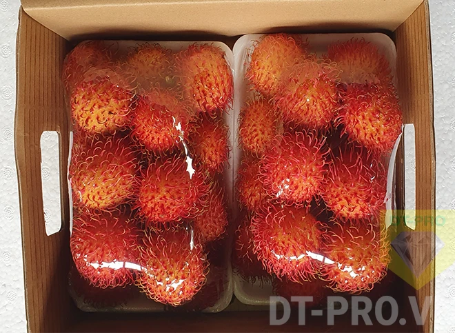 Java Rambutan - DT-PRO