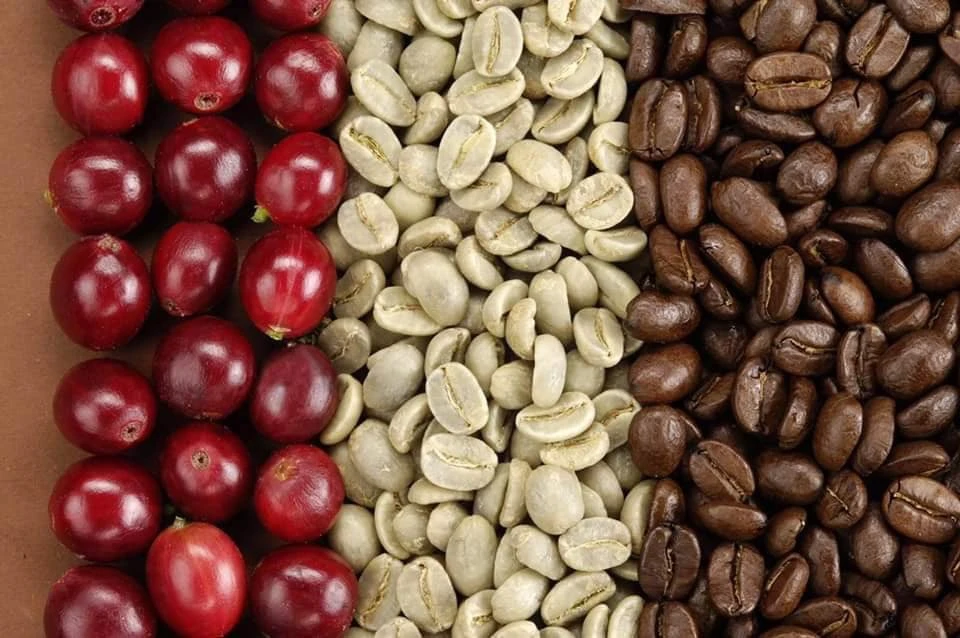 Arabica Coffee 500g