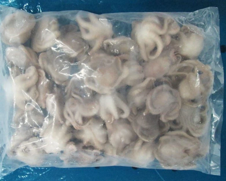 Whole Cleaned Baby Octopus - Silvera