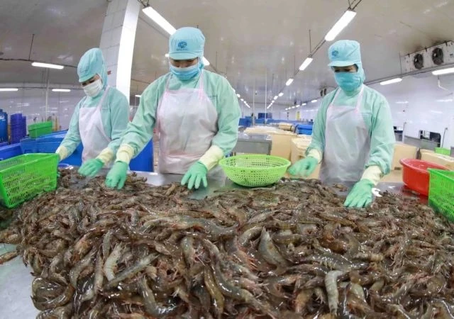 Vietnam's shrimp export rises in H1 but still faces competition