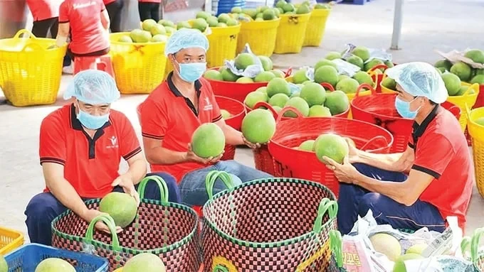 In the first seven months of 2024, Vietnam's goods export turnover increased by 15.7%