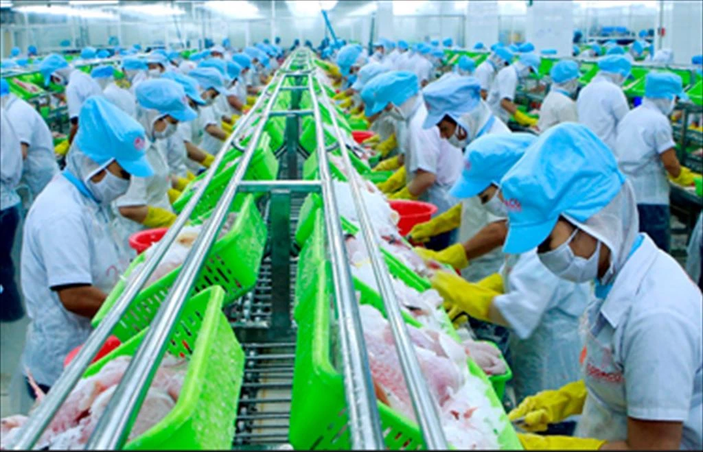 Total seafood production estimated to exceed 4,384 thousand tons in Jan-Jun 2024