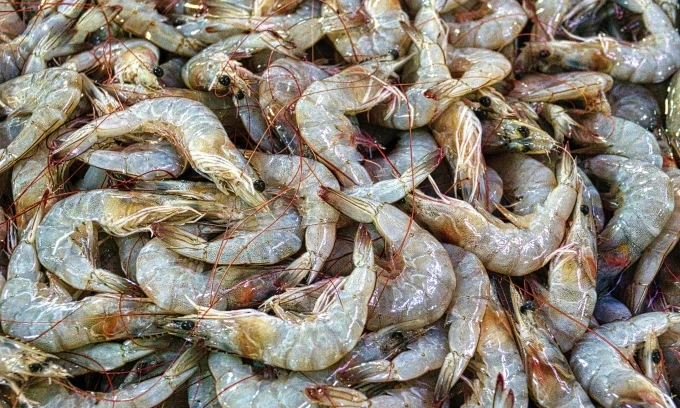 Shrimp companies seek to maintain exports in H2 amid fierce competition