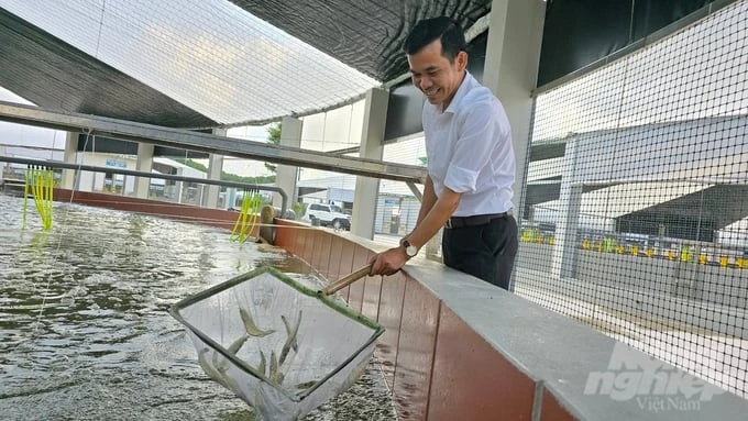 One ‘magnificent’ shrimp farm in Quang Ninh harvests its first batch