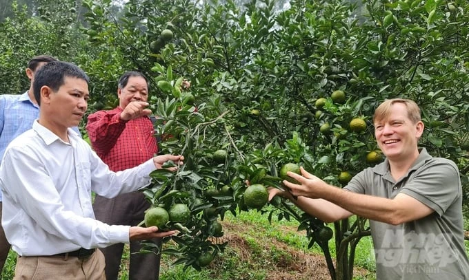 Strengthening the sloping land: The key crops rise up strong on good land